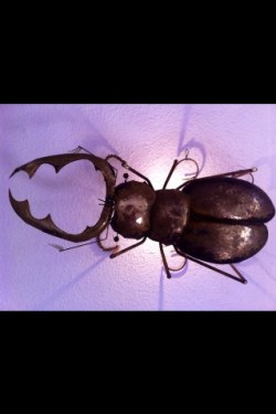 Applique sculpture scarabée laiton 1970 signe 