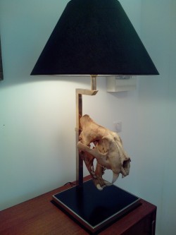 lampe Attribué à la maison jansen 1960